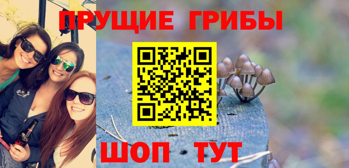 Галлюциногенные грибы Magic Shrooms  Галлюциногенные грибы ЛСД  Томск  Вход с VPN 